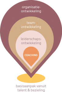 schema coaching organisatieadvies 2
